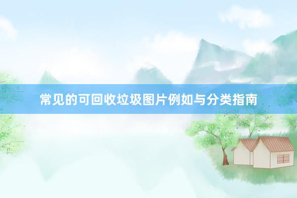 常见的可回收垃圾图片例如与分类指南
